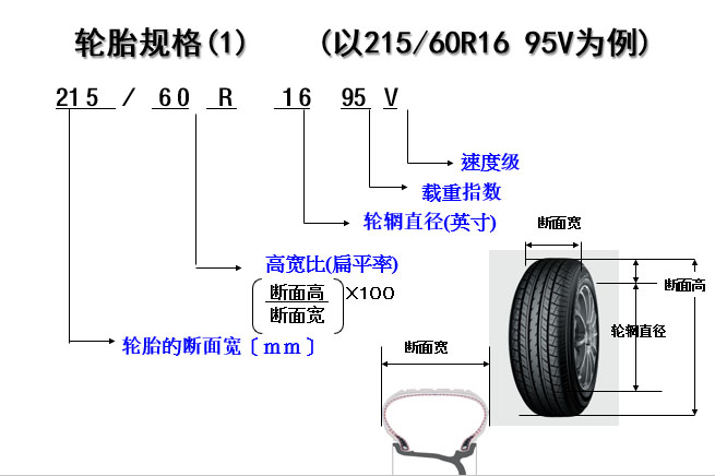 认识轮胎(图8)